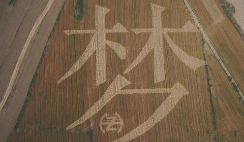 泊頭青年用衛(wèi)星定位，28畝麥田打造別致的麥