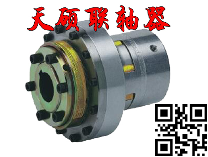 供應(yīng)TSAQ型扭矩限制器