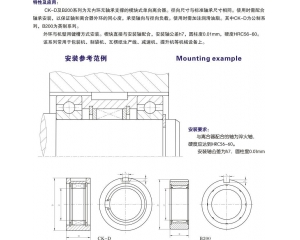 CK-D、B200 楔塊式單向離合器